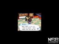 Animal Crossing: Wild World [DS]