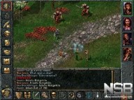 Baldur's Gate [PC]