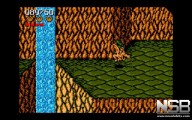 Battletoads [Amiga]