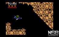 Battletoads [Amiga]