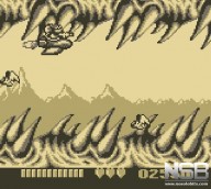 Battletoads [Game Boy]