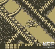 Battletoads [Game Boy]