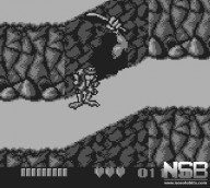 Battletoads [Game Boy]