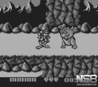 Battletoads [Game Boy]