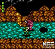 Battletoads [Game Gear]