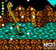 Battletoads [Game Gear]