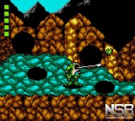 Battletoads [Game Gear]