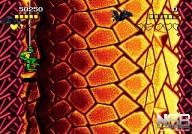 Battletoads [Mega Drive]