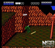 Battletoads [NES]