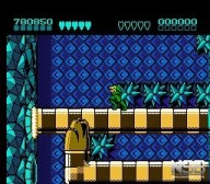 Battletoads [NES]