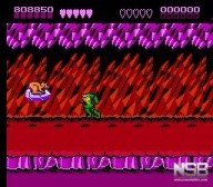 Battletoads [NES]