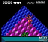 Battletoads [NES]