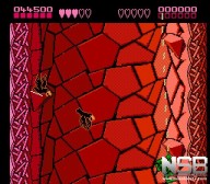 Battletoads [NES]