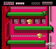 Battletoads [NES]