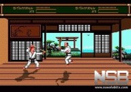 Budokan: The Martial Spirit [Mega Drive]