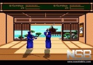 Budokan: The Martial Spirit [Mega Drive]