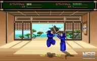 Budokan: The Martial Spirit [PC]