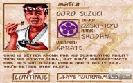 Budokan: The Martial Spirit [PC]