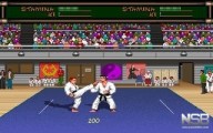 Budokan: The Martial Spirit [PC]