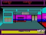 Budokan: The Martial Spirit [ZX Spectrum]