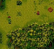 Cannon Fodder [Game Boy Color]