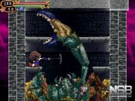 Castlevania: Order of Ecclesia [DS]