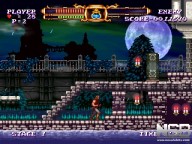 Castlevania the Adventure Rebirth [Wii]