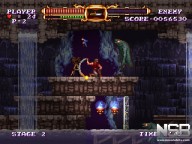 Castlevania the Adventure Rebirth [Wii]