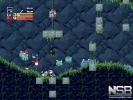 Cave Story [Wii]