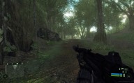 Crysis [PC]