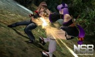 Dead or Alive: Dimensions [3DS]