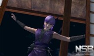 Dead or Alive: Dimensions [3DS]