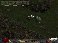 Diablo II [PC]