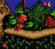 Donkey Kong Country [Game Boy Color]