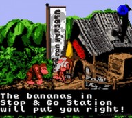 Donkey Kong Country [Game Boy Color]