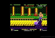 Double Dragon [Amstrad CPC]