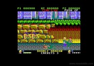 Double Dragon [Amstrad CPC]