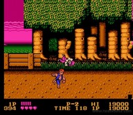 Double Dragon [NES]