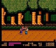 Double Dragon [NES]