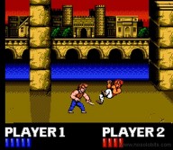 Double Dragon [NES]