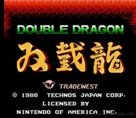 Double Dragon [NES]