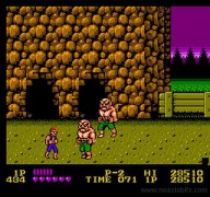 Double Dragon [NES]