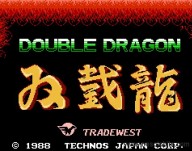 Double Dragon [Wii]