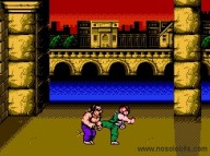 Double Dragon [Wii]