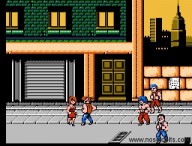 Double Dragon [Wii]