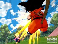 Dragon Ball: Revenge of King Piccolo [Wii]