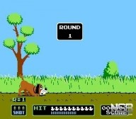 Duck Hunt [NES]