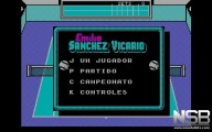 Emilio Sánchez Vicario Grand Slam [PC]
