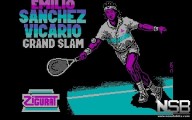 Emilio Sánchez Vicario Grand Slam [PC]