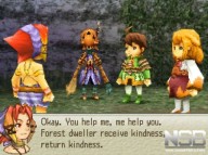 Final Fantasy Crystal Chronicles: Ring of Fates [DS]